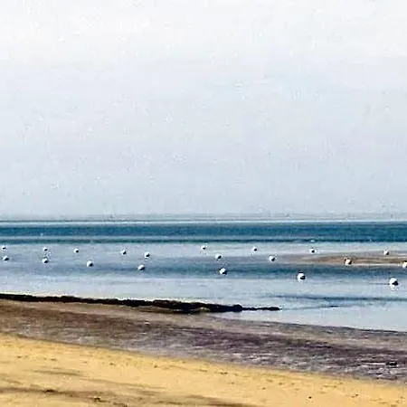 Panoramic דירה *